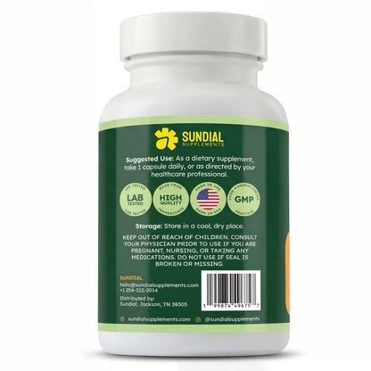 Milk Thistle Complex with Choline, Artichoke Extract, Dandelion Extract 450mg - Adult Daily Supplement (90 Capsules, 90 Servings)